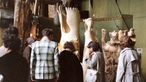 Retki 9-10.6.1979: Pielisen museo, Bombatalo ja Eeva Ryynäsen ateljee.