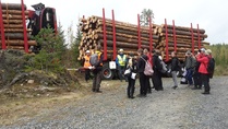 Rotarit järjestivät Juvan yläasteen oppilaille metsäpäivän 26.9.
Metsäpäivän teemat oli järjestetty maastossa seitsemälle eri rastille.
Oppilaat pääsivät tutustumaan ammattilaisten opastuksella metsäalaan, sen eri ammatteihin, koneisiin ja metsänhoitoon.