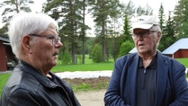 Lähdetään katsomaan paimenkoirien työskentelyä.