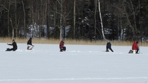 Narrajat taitavat olla jään alapuolella?